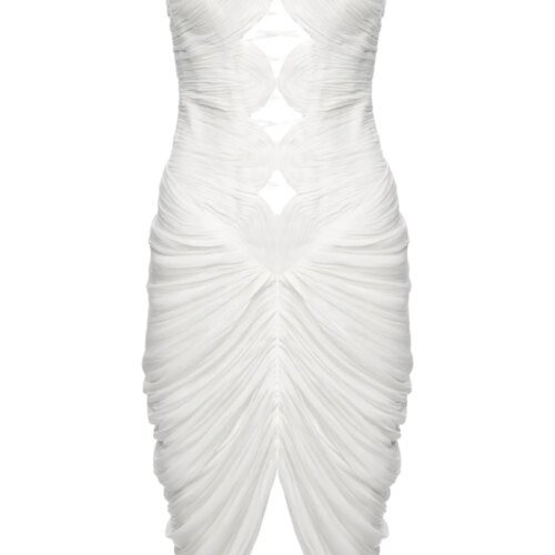 31705946 61119295 1000