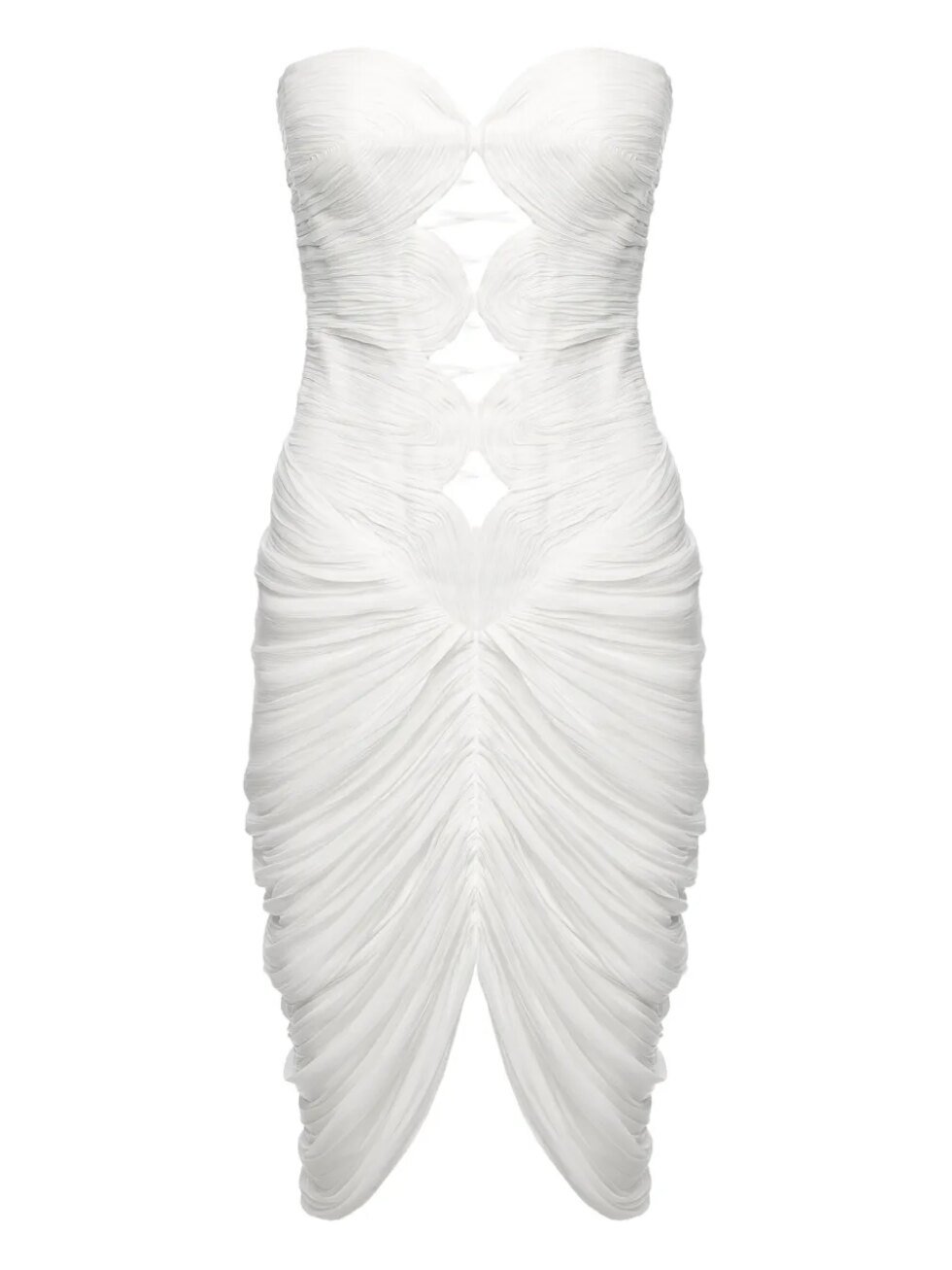 31705946 61119295 1000