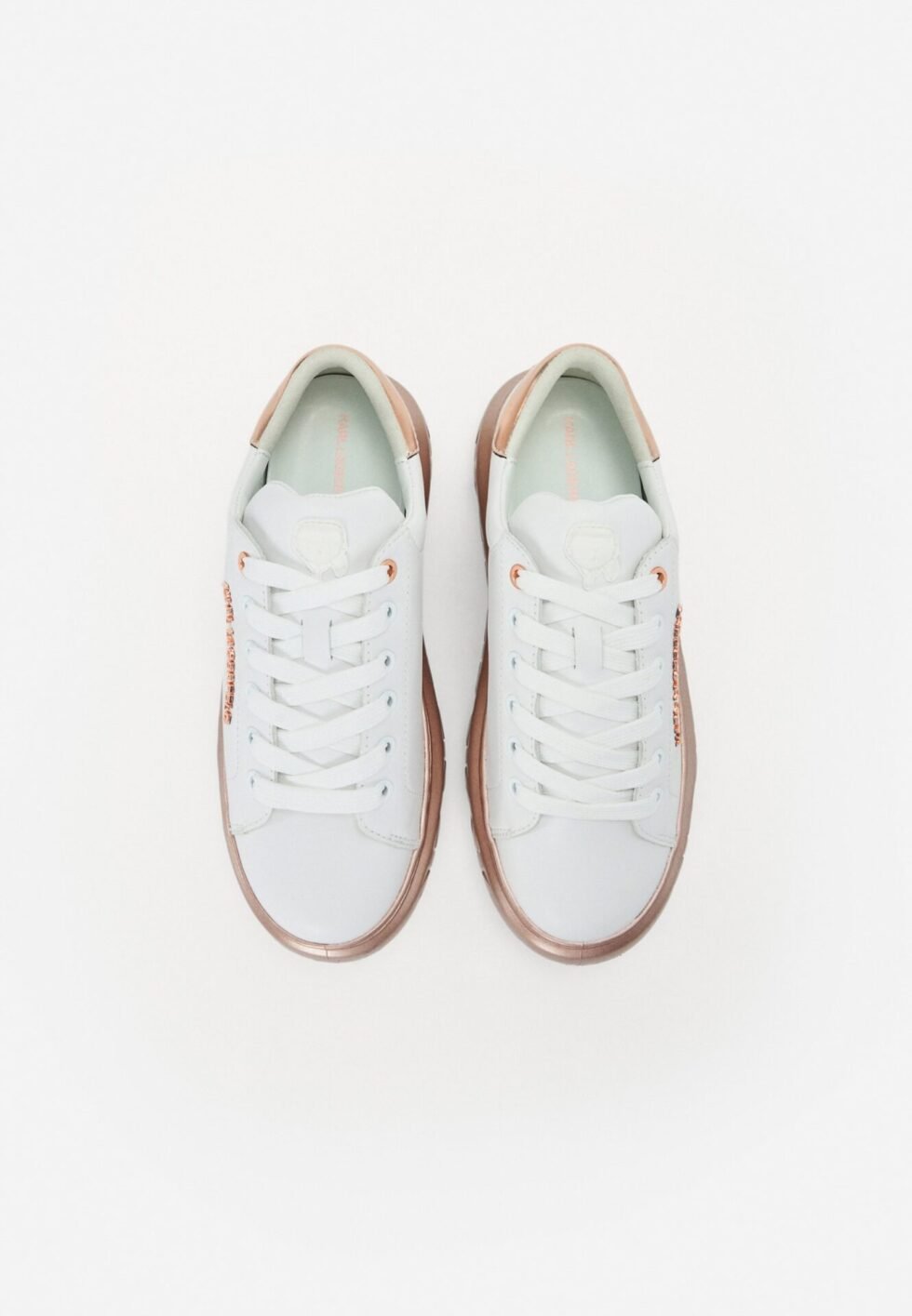 44a71cbeffcc448ebab66820f52557a8 1