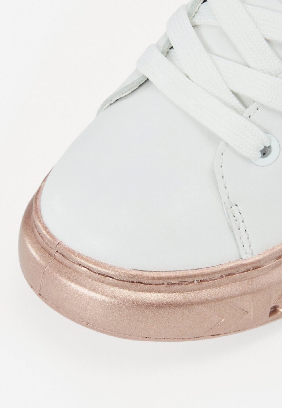 E19256a37fe74f72ae9ec15793949ad7 1