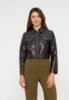 Anna Field by Zalando Faux leather jacket - brown
