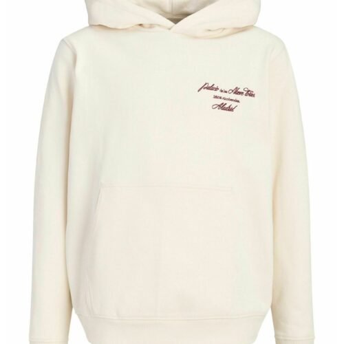 Jack & Jones Kids HOODIE BACKPRINTET HOODIE BOYS - Hoodie - White