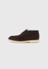 BOSS SIENNE - Lace-ups - dark brown
