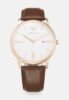 EMPORIO ARMANI Watch - brown
