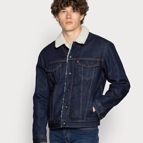 Levi's® TYPE III SHERPA TRUCKER JACKET - Denim jacket - rockridge
