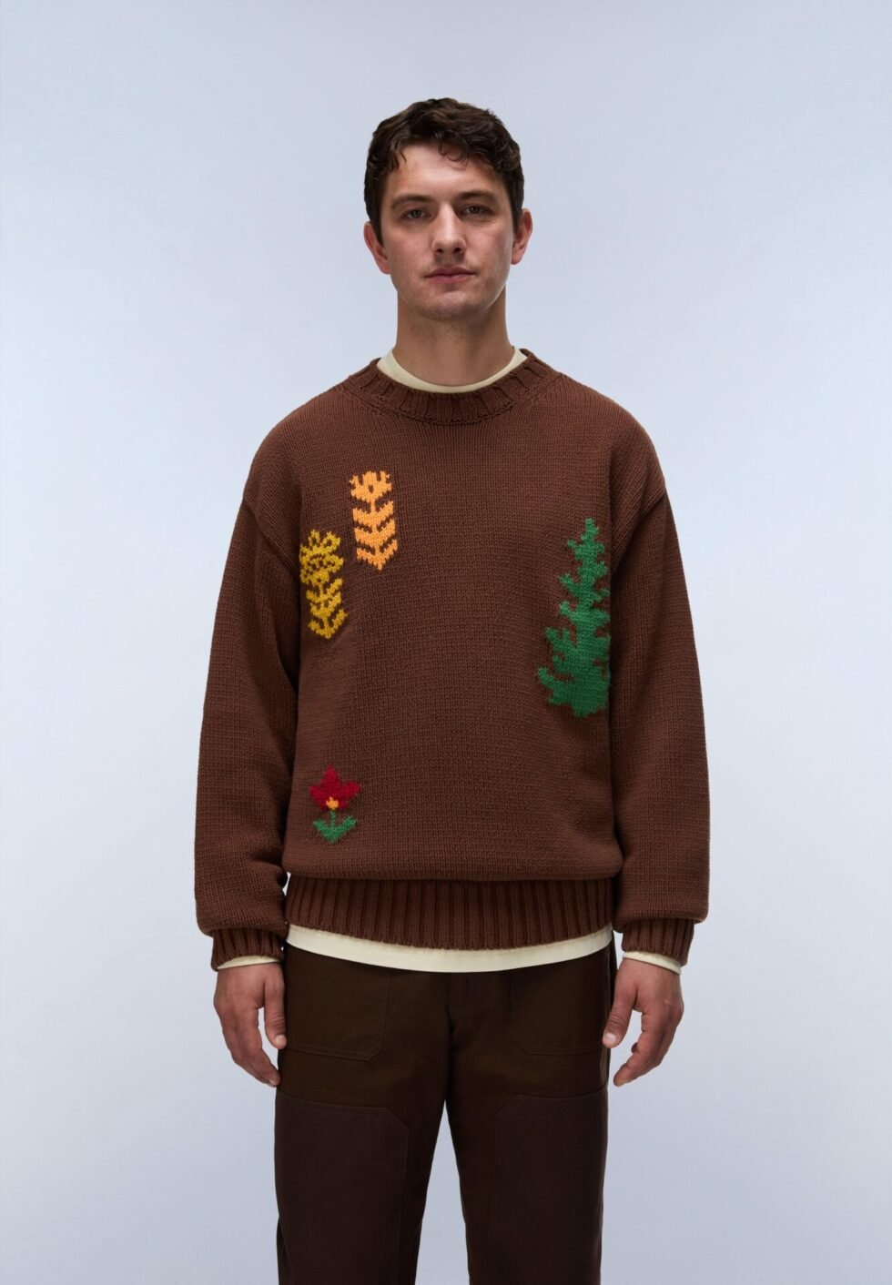 Napapijri TRAD - Jumper - dark brown
