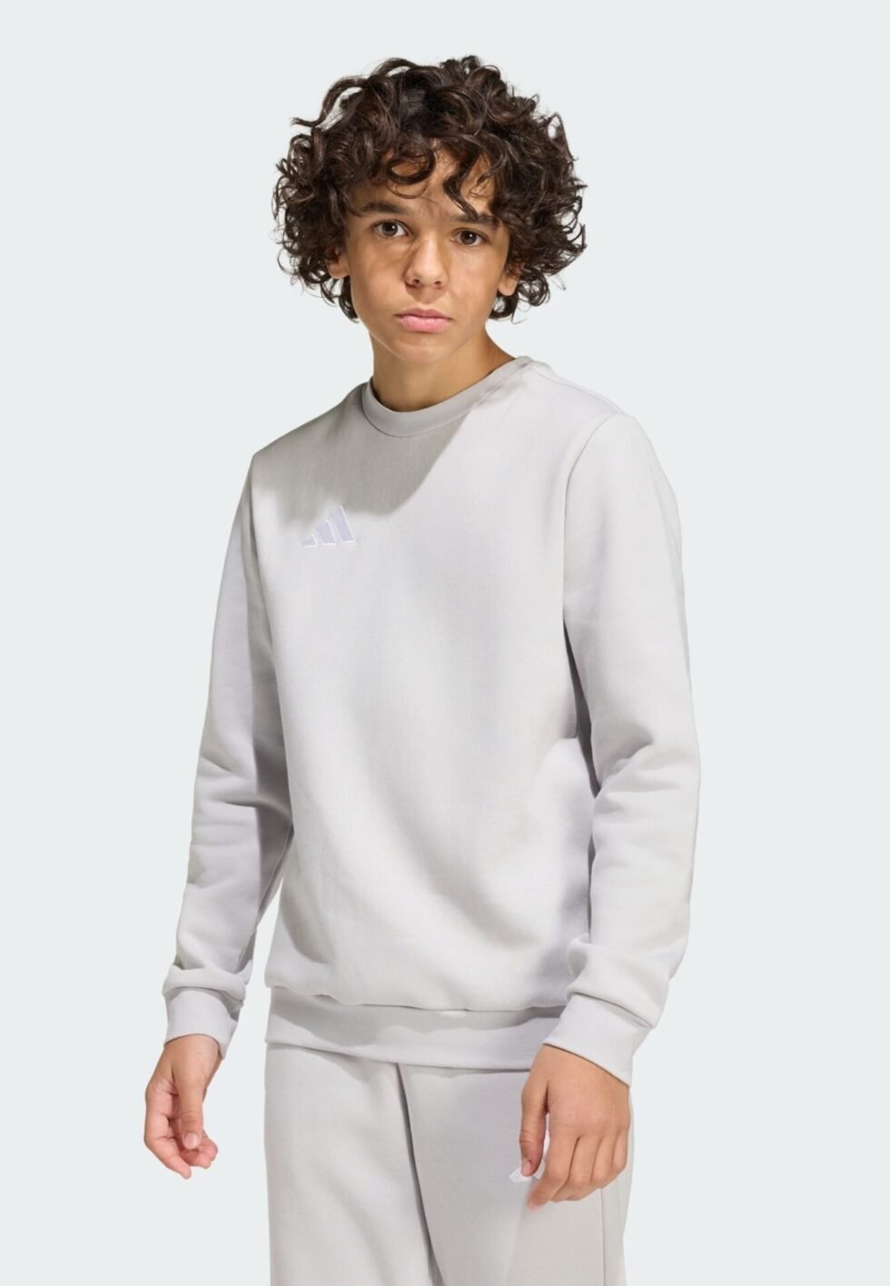 adidas Performance Sweatshirt - team light grey/white