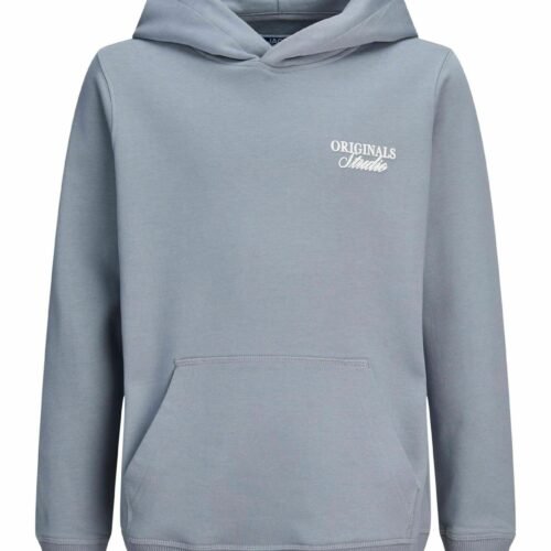Jack & Jones Kids JORNORREBRO TYPO BACK SWEAT HOOD SN JNR - Hoodie - Blue