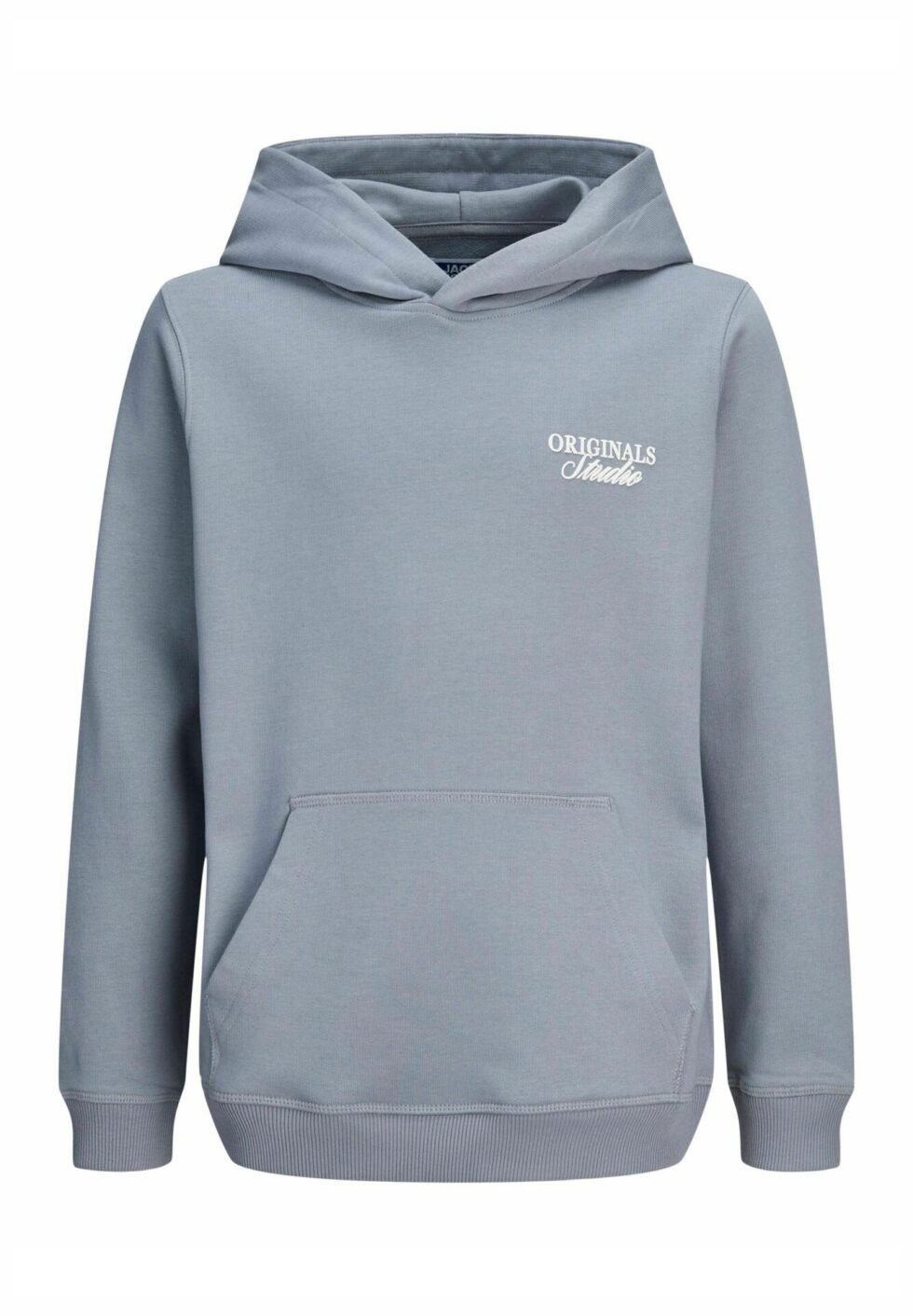 Jack & Jones Kids JORNORREBRO TYPO BACK SWEAT HOOD SN JNR - Hoodie - Blue