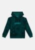 adidas Terrex UNISEX - Hoodie - collegiate green