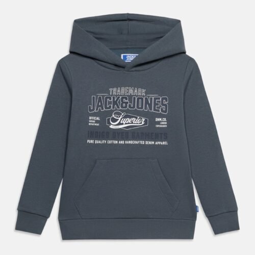 Jack & Jones Kids JJELOGO SWEAT HOOD 2 COL AW26 SN JNR - Hoodie - Grey