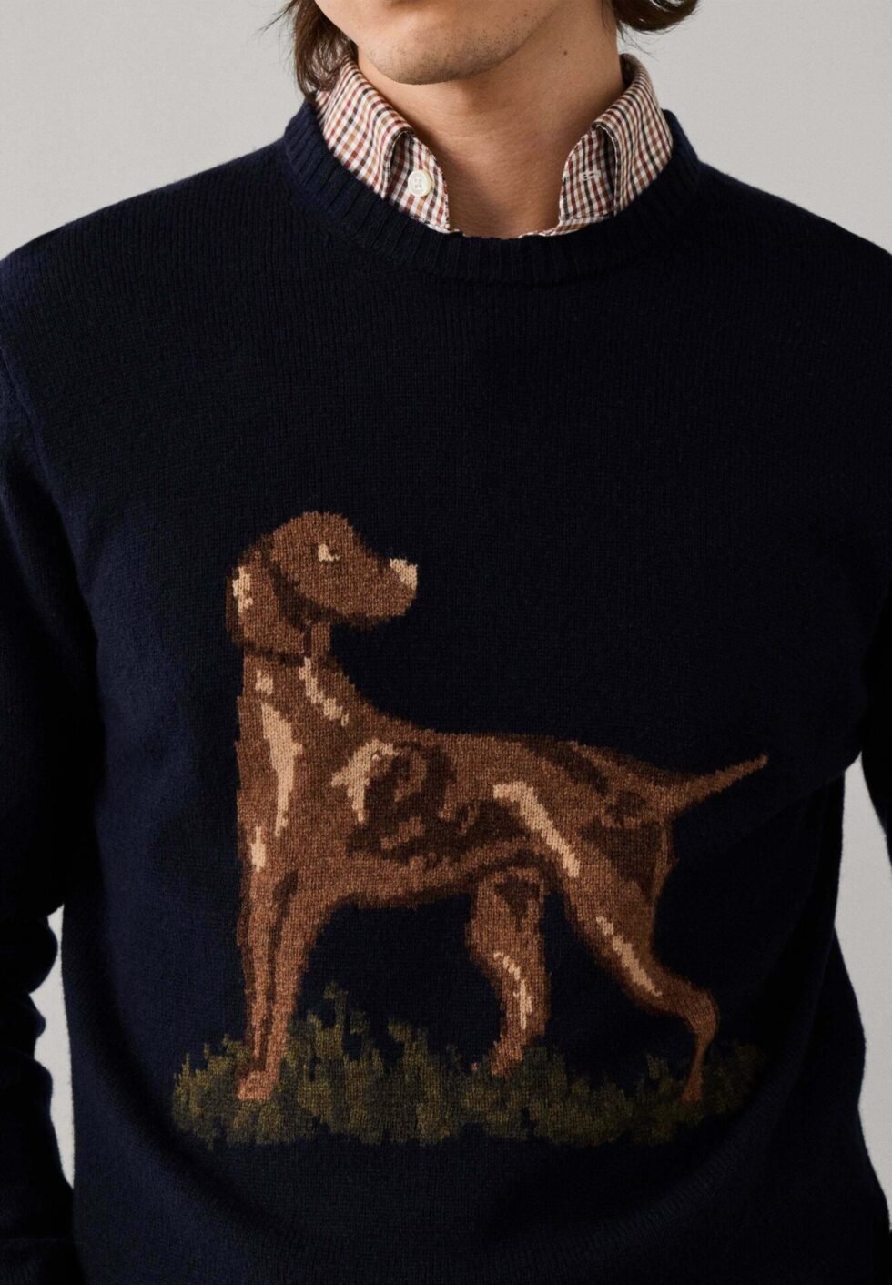 HACKETT LONDON JUMPER HIGHLAND HOUND CREW - Jumper - old navy
