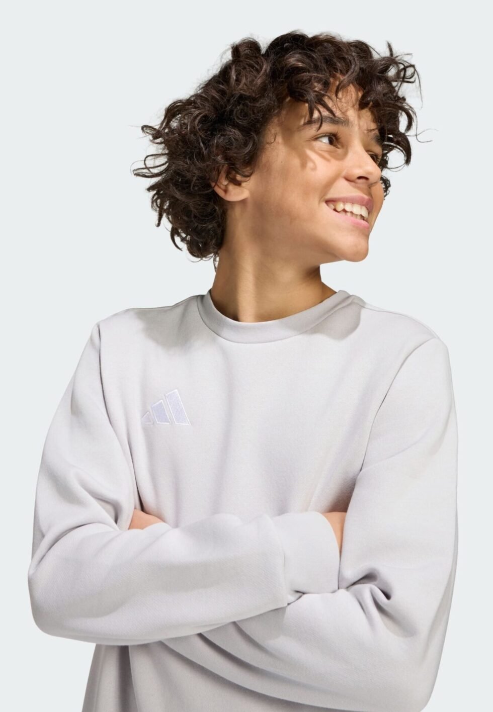 adidas Performance Sweatshirt - team light grey/white