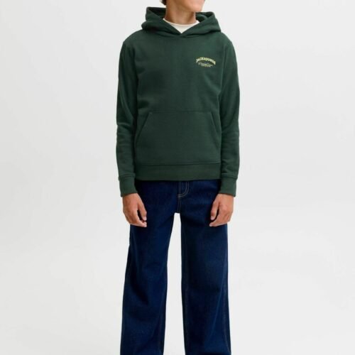 Jack & Jones Kids KAPUZENPULLOVER LOGO KAPUZENPULLOVER JUNIOR - Hoodie - Green