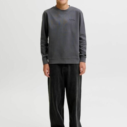 Jack & Jones Kids JJEARCHIVE GRAPHIC SWEAT CREW NECK JNR - Sweatshirt - Grey